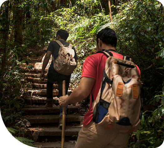 Conozca las demás herramientas del ecosistema de Tilopay y cómo facilitan su negocio de turismo image